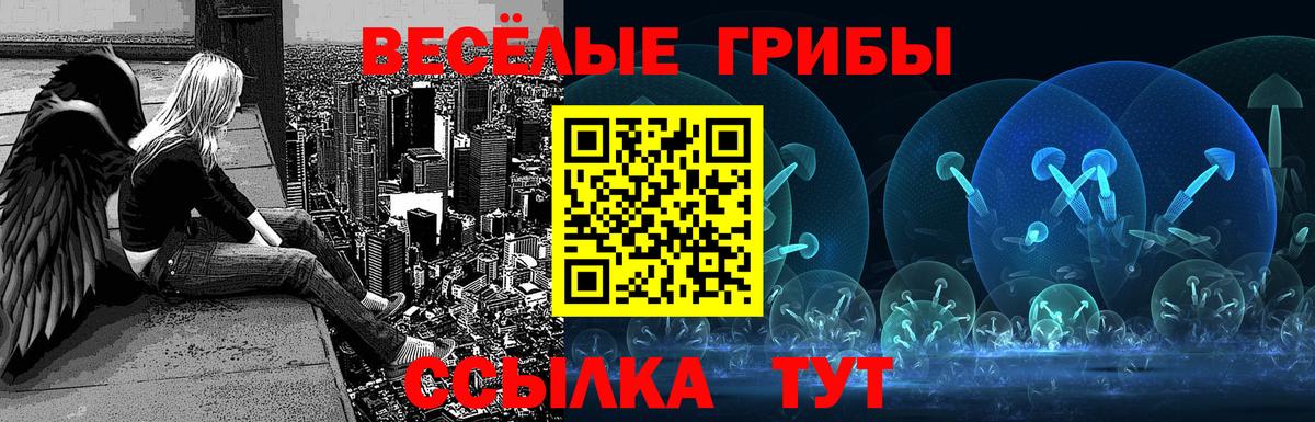 Галлюциногенные грибы GOLDEN TEACHER Феодосия
